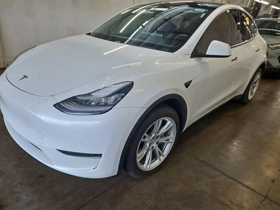 TESLA MODEL Y 2020 5YJYGDEE4LF017772 image
